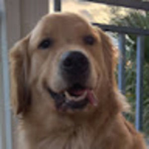 Meet your Posher, Nicholas